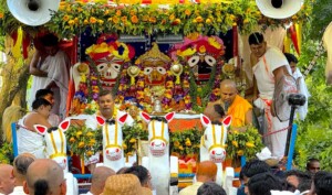 Rathyatra 2025 (1)